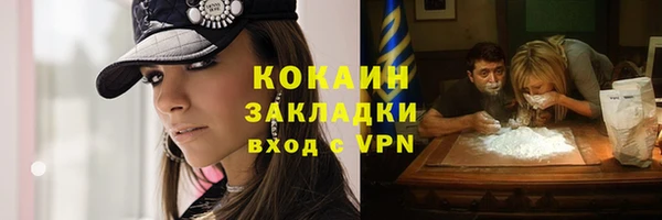 соль ск Алзамай