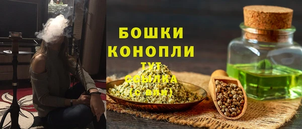 индика Осташков
